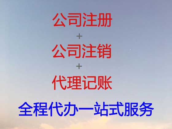 阿拉善盟注册公司